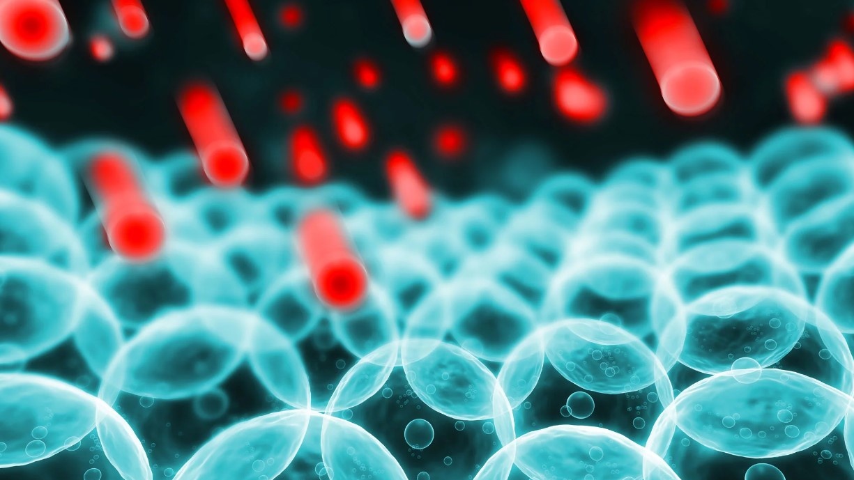 Hình ảnh chương 1