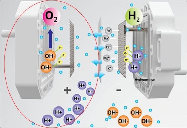 Hình ảnh chương 2