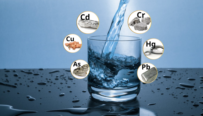 Hình ảnh chương 2