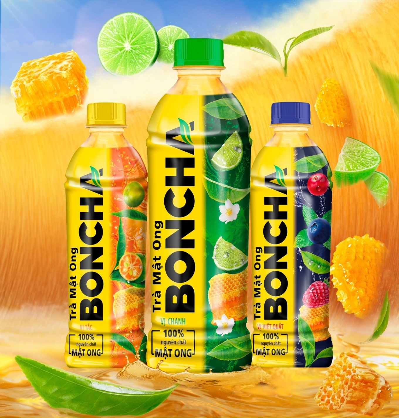 Hình ảnh chương 1