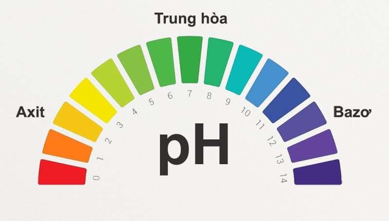 Hình ảnh chương 2